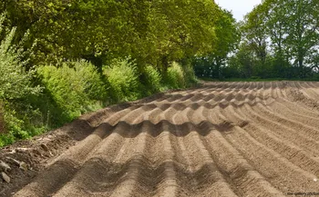 Furrowed field.jpg